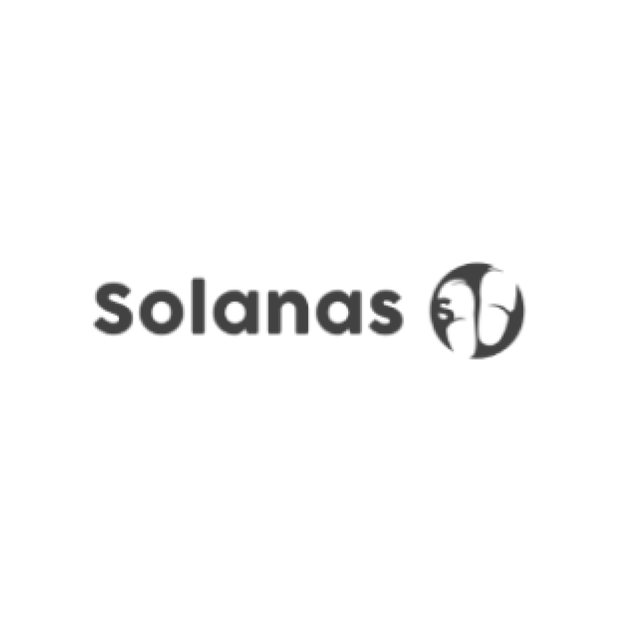 chienko_web_marcas_solanas